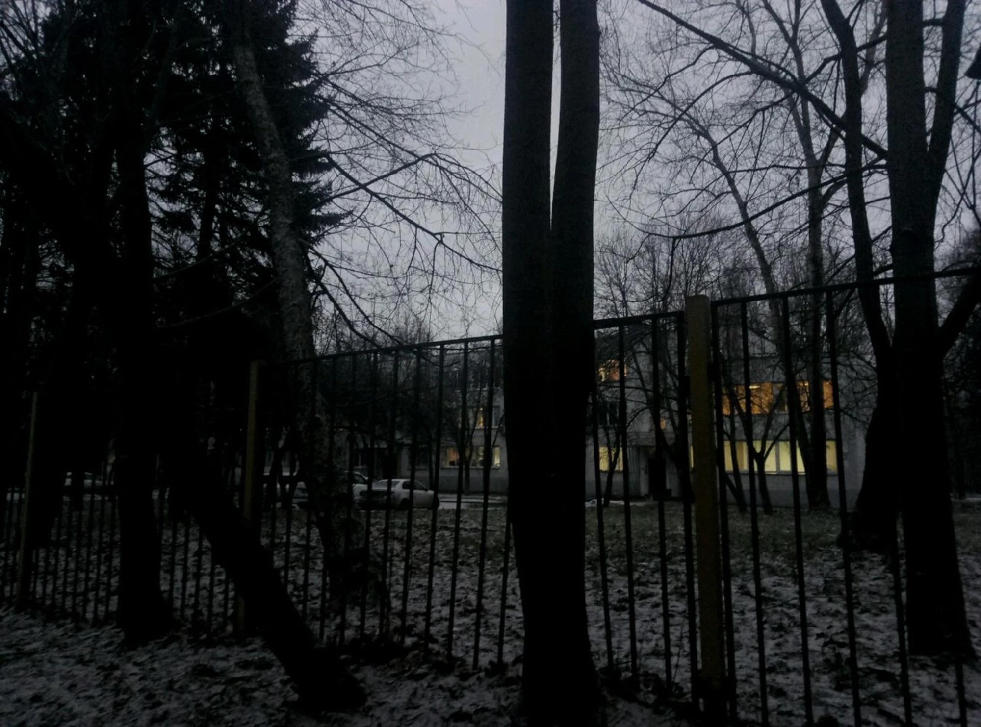 Центр коррекции речи Педагогика и психология развития (Логопеды )