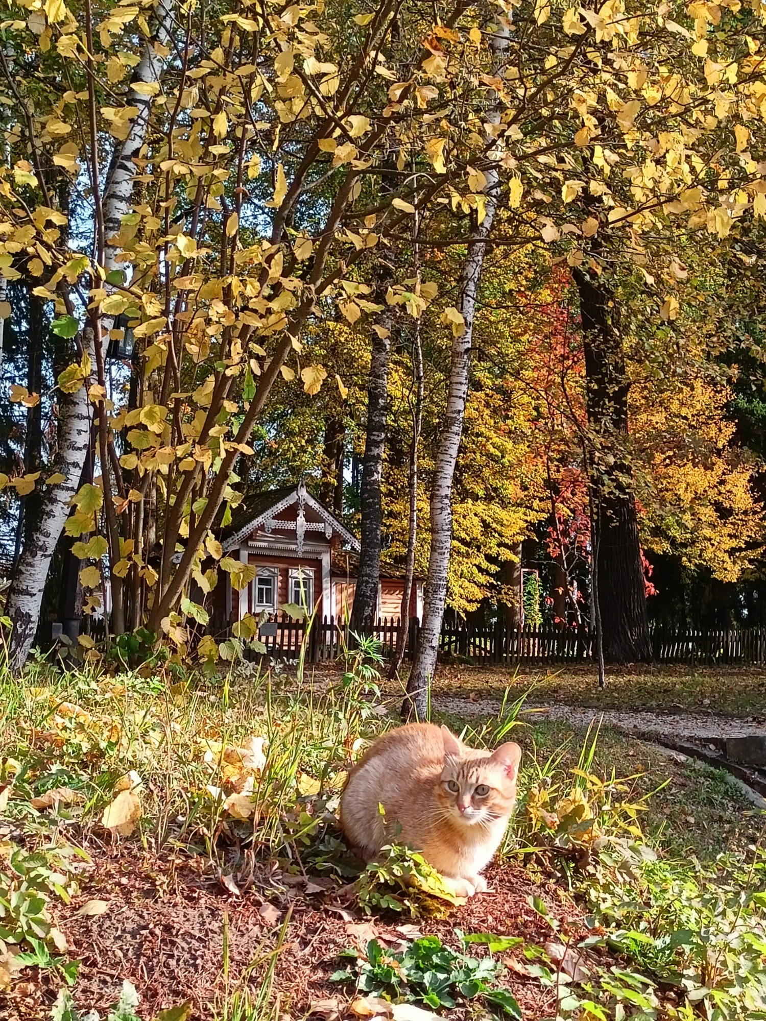 Бесплатное посещение Музей-усадьбы "Мураново" участникам СВО, а также членам их семей