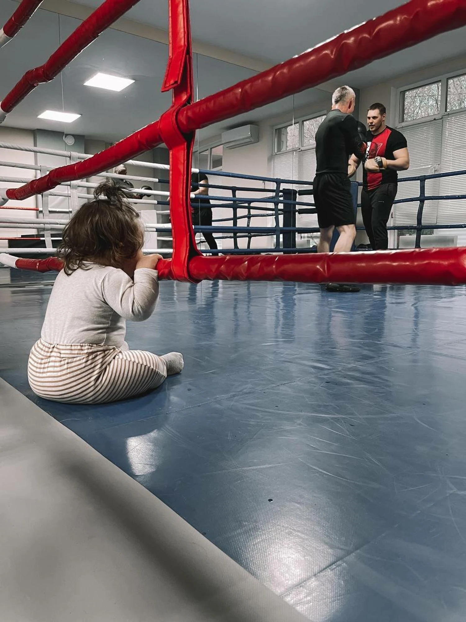Tiger boxing (Спортивный клуб, секция)