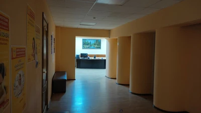 Алгоритмика (Дополнительное образование )