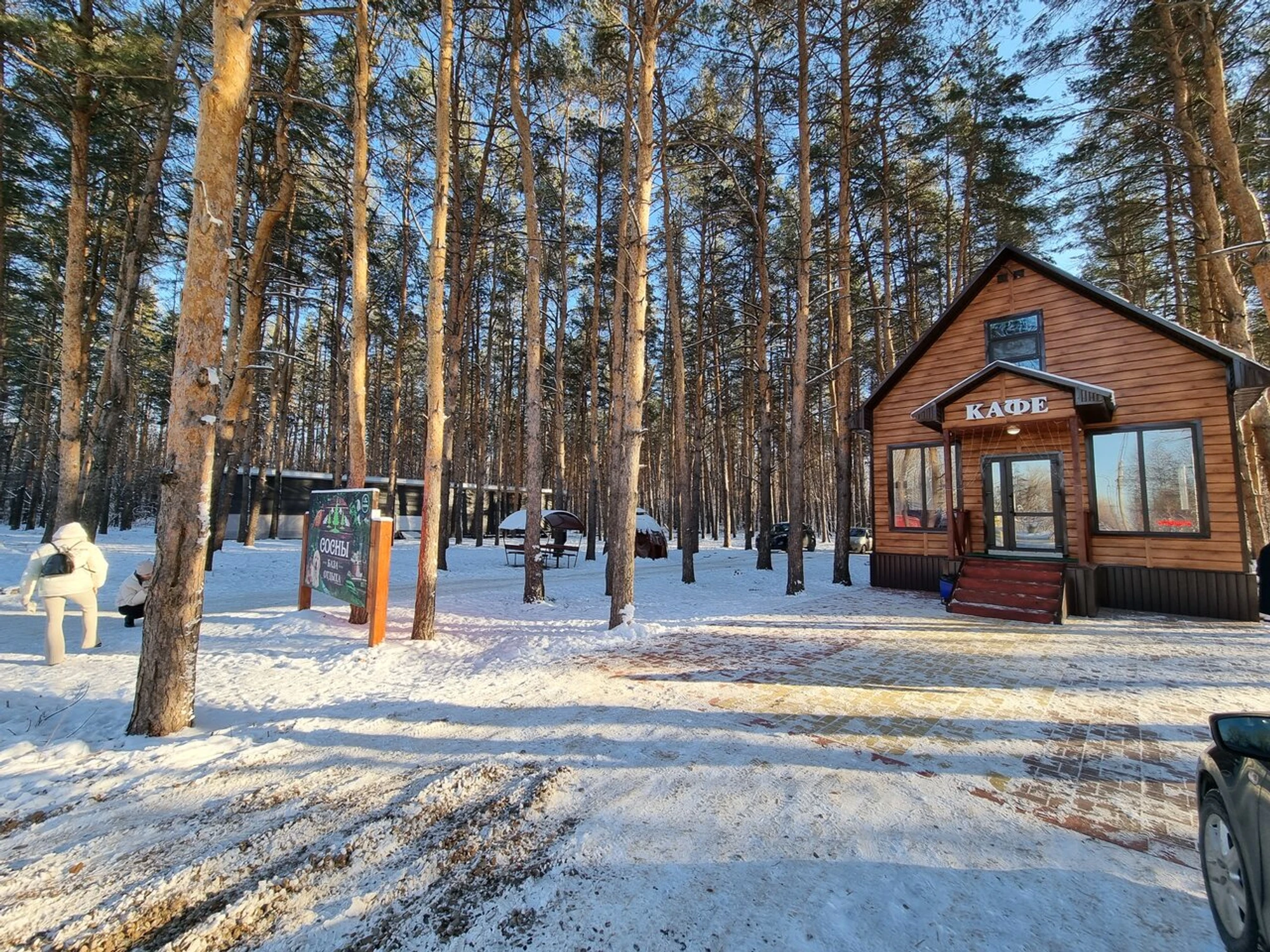 Сосны (Турбаза)