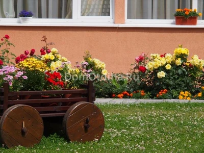 Неринга Министерства Внутренних Дел Российской Федерации (Санаторий)