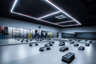 Pluzhnik fitness (Фитнес-клуб )