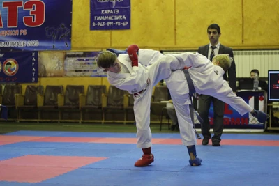 Федерация каратэ (Спортивное объединение)