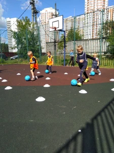 Ньютоша (Центр развития ребёнка )