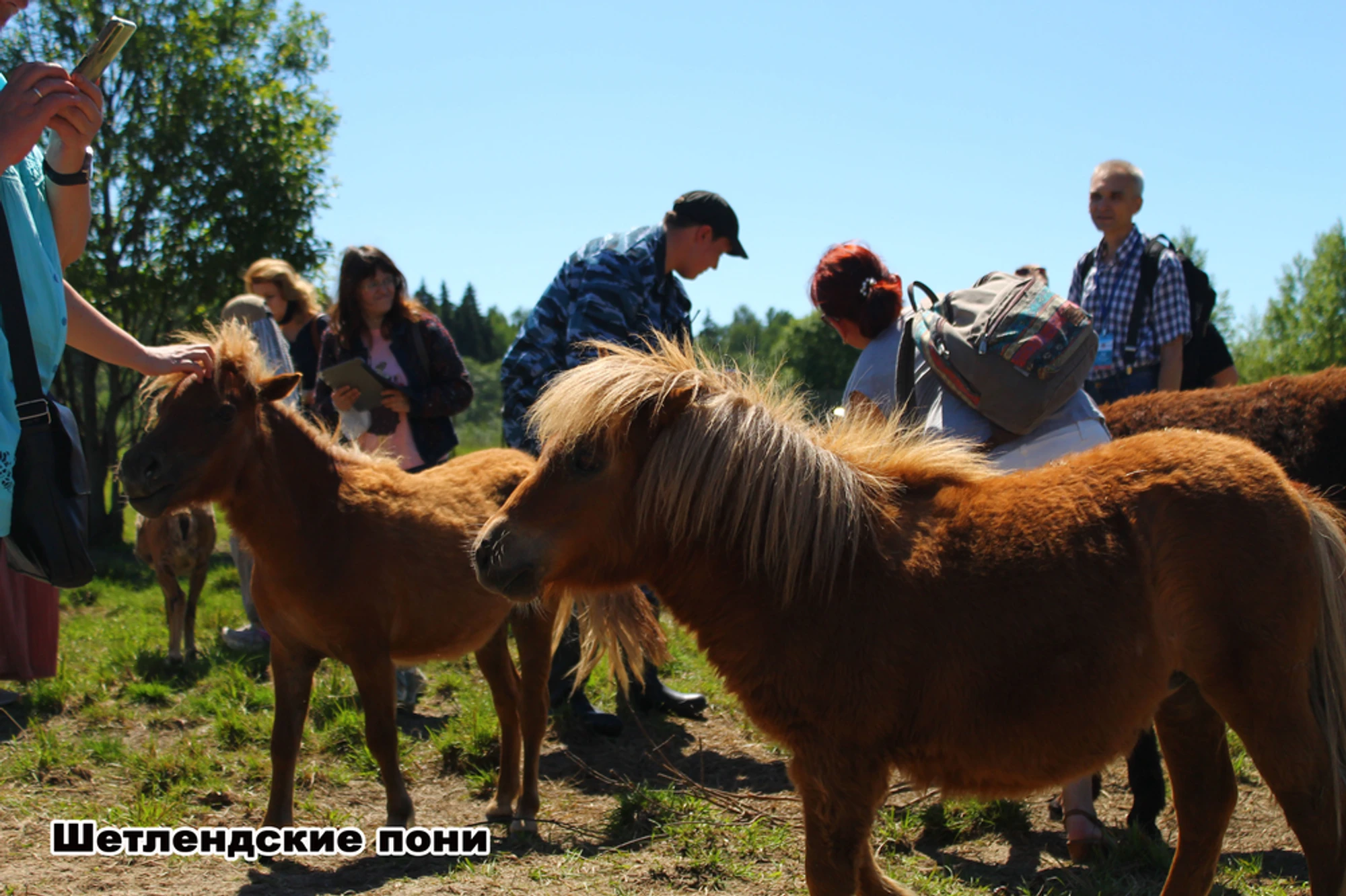 Экскурсия в Парк копытных и птиц