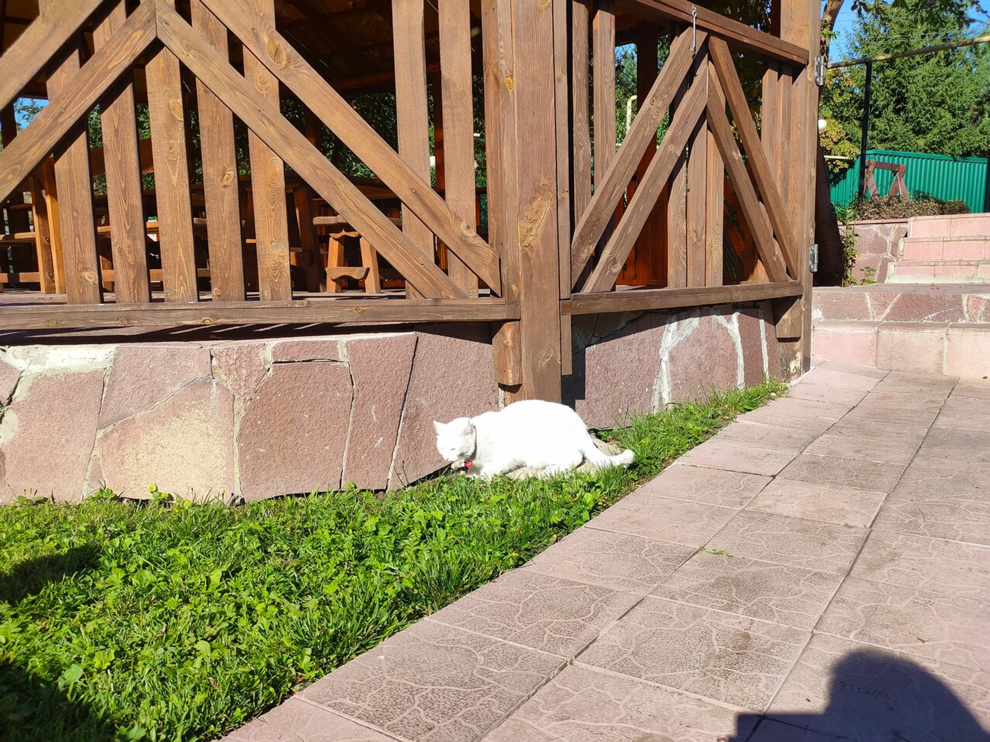 Яш-Тан (Кафе)