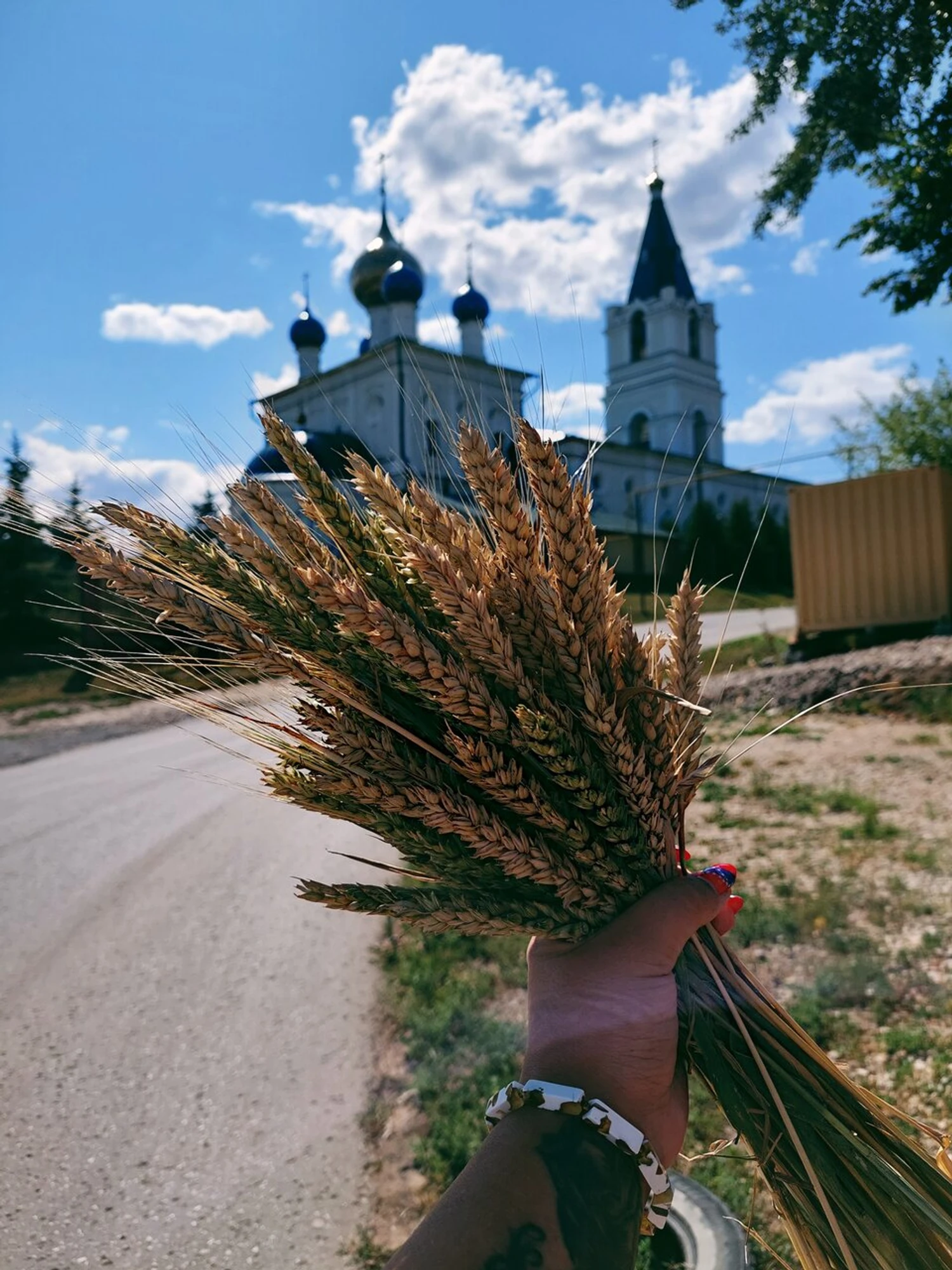 Собор Михаила Архангела (Православный храм)