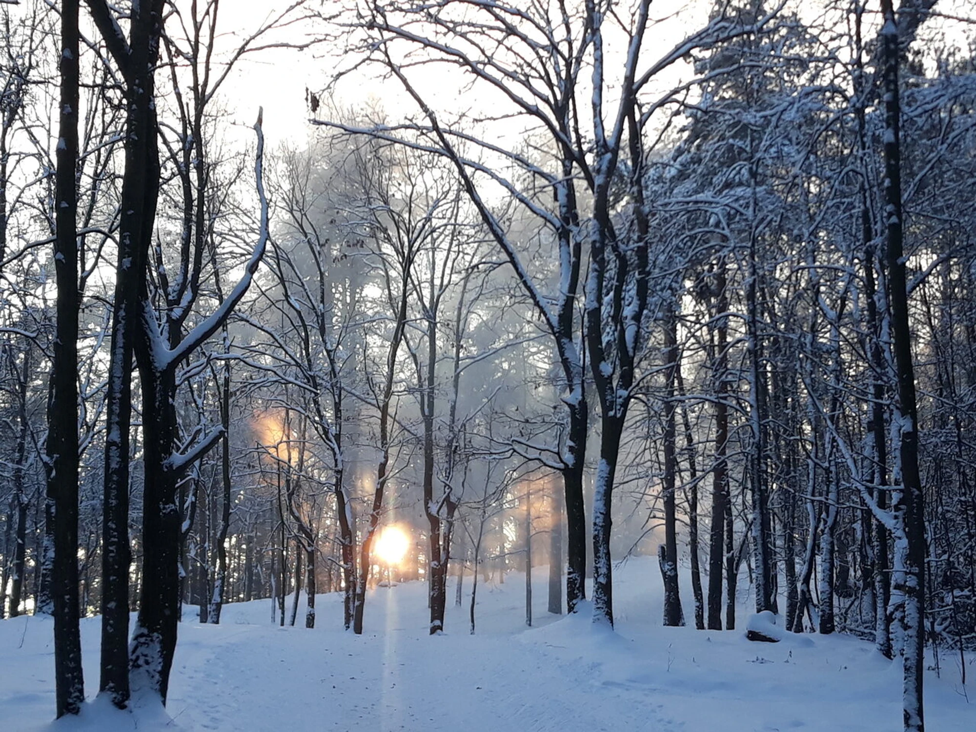 Лыжный клуб Волкуша (Лыжная база)