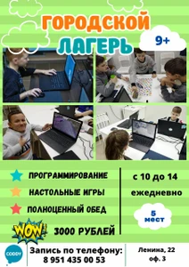 Coddy (Компьютерные курсы )