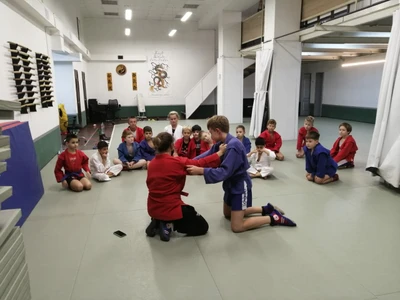 Самбо и дзюдо САО (Спортивный клуб, секция )