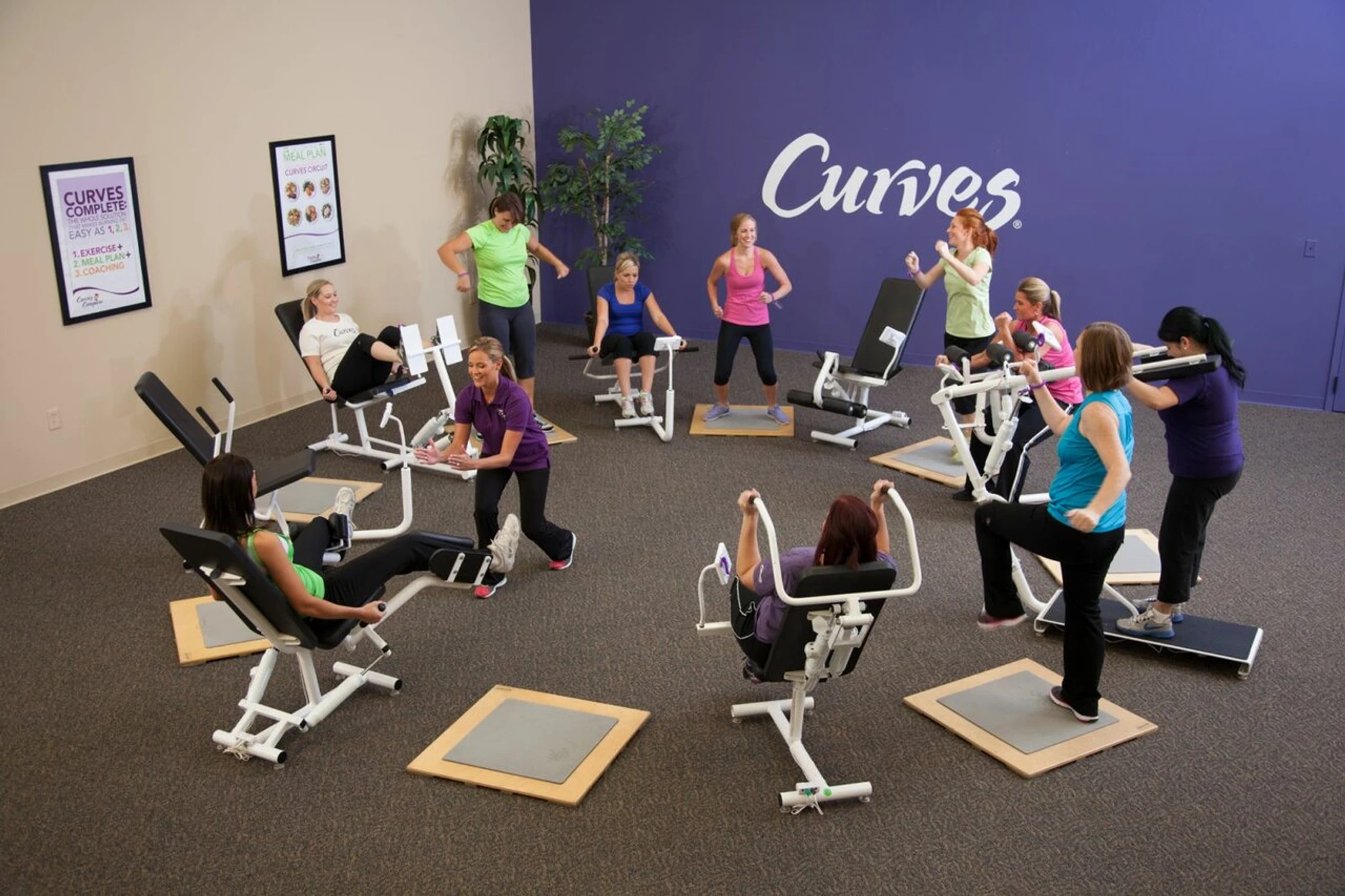 FitCurves (Фитнес-клуб )