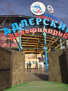 Адлерский дельфинарий