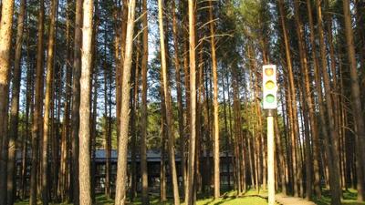 База отдыха "Светофор" в посёлке Билимбай, 50км от Екатеринбурга