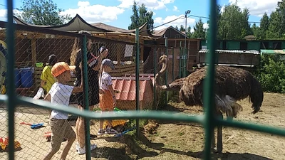 "Контактный зоопарк", контактная ферма в 20 км от МКАД по Осташковскому шоссе