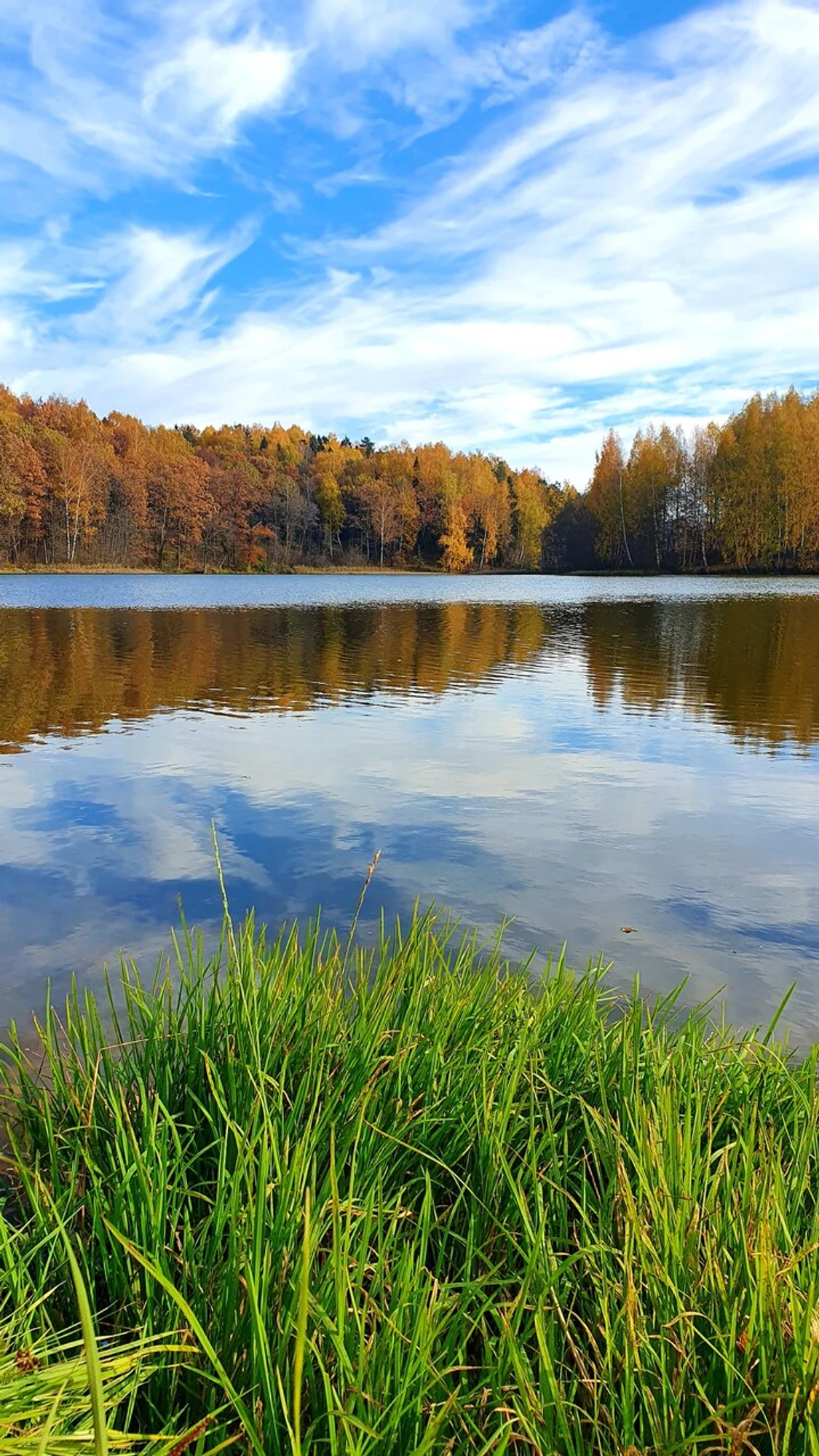 Пляж (Пляж)