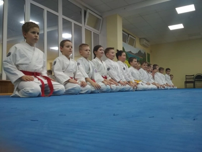 Детский клуб Сэйкан (Спортивный клуб, секция )