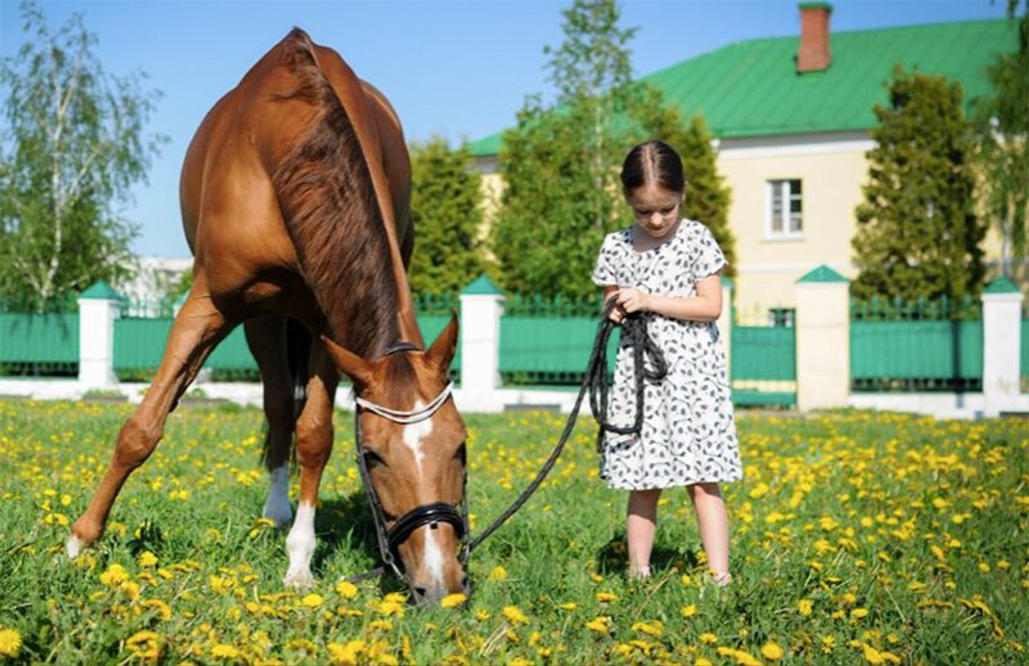 Эквиплан Спорт (Конный клуб)