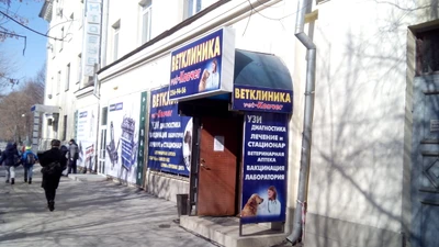 Прайд (Ветеринарная клиника )