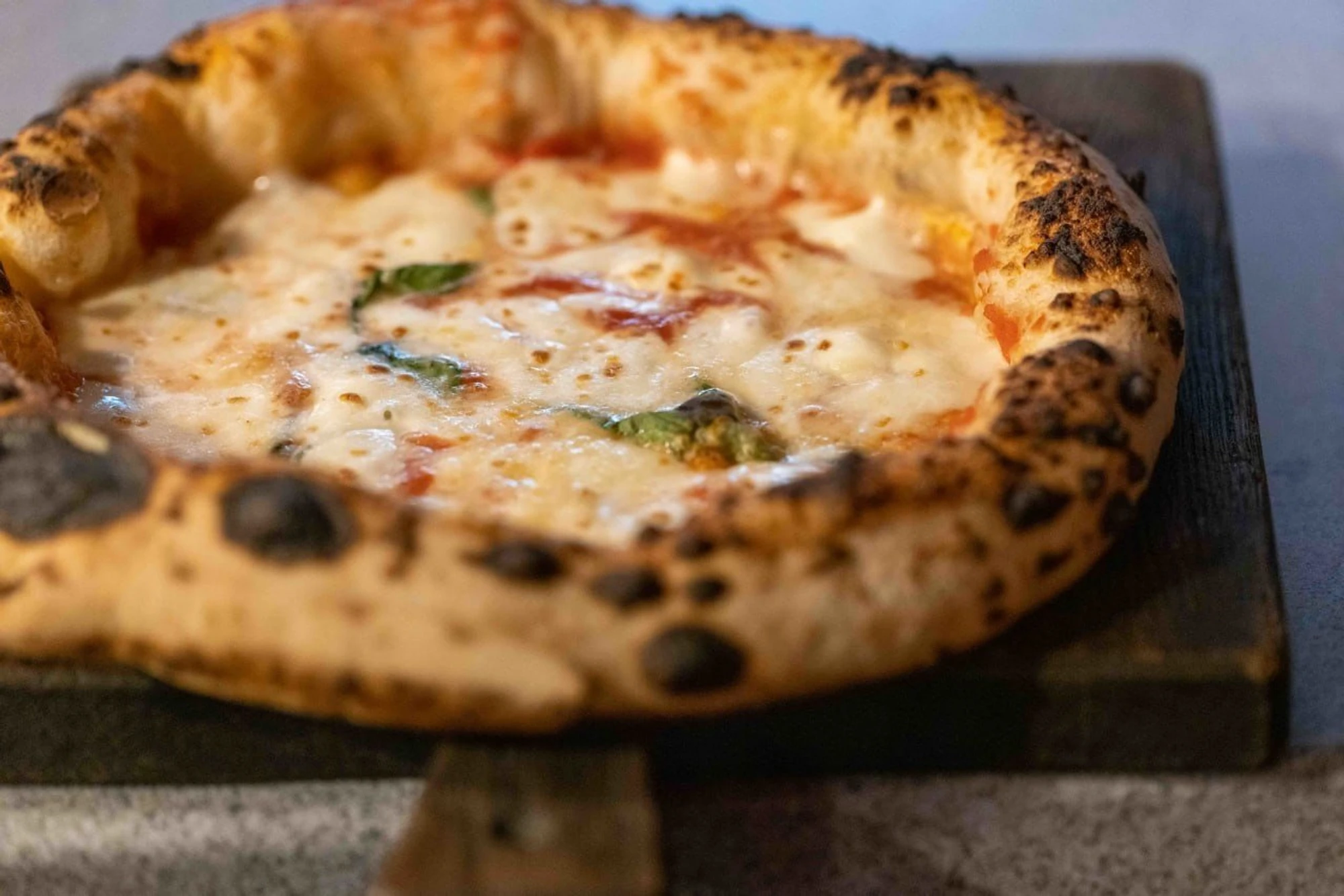 Фото: pizzamento.ru