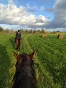 Конный клуб (Конный клуб)