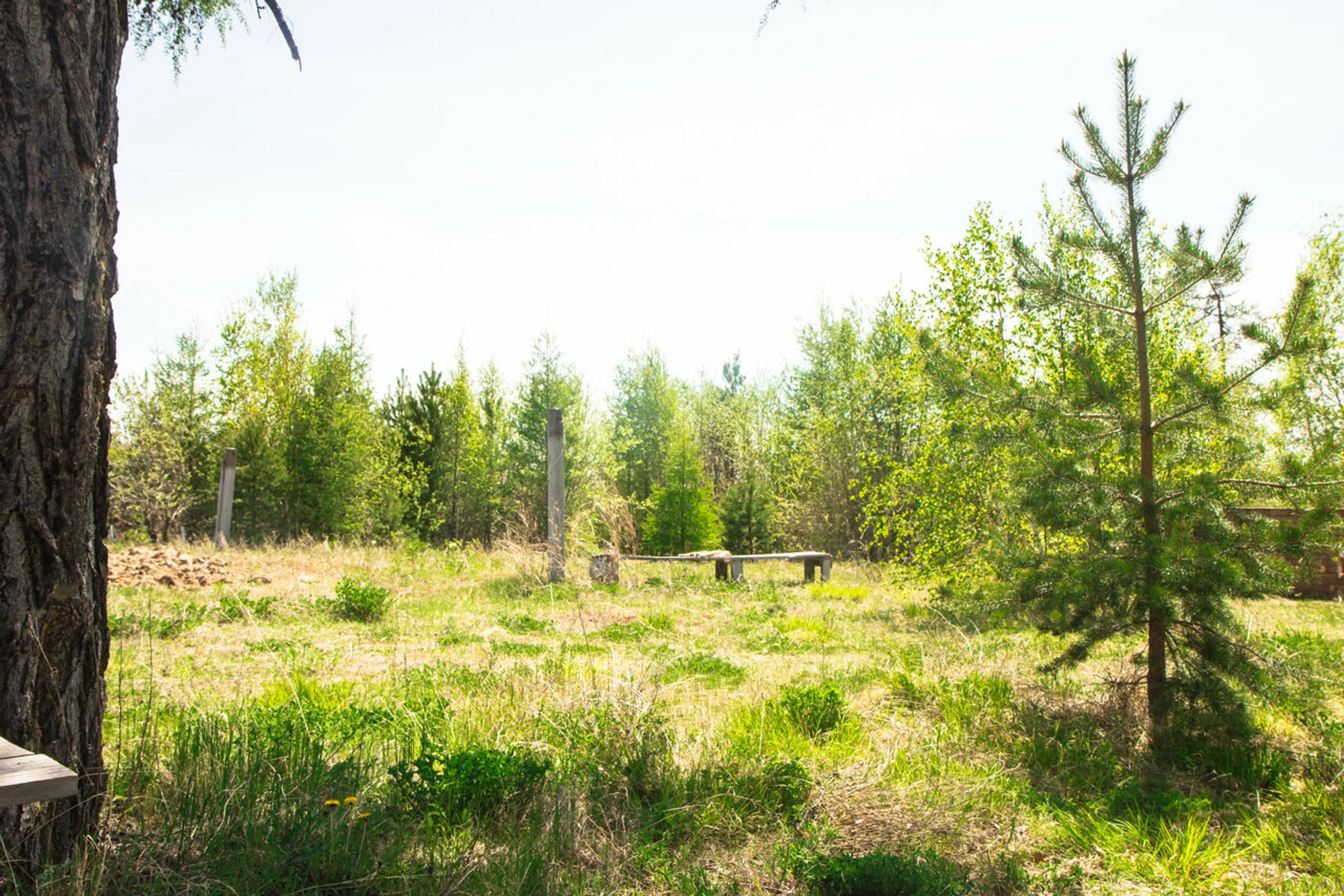 Байкальский сердолик (Турбаза)