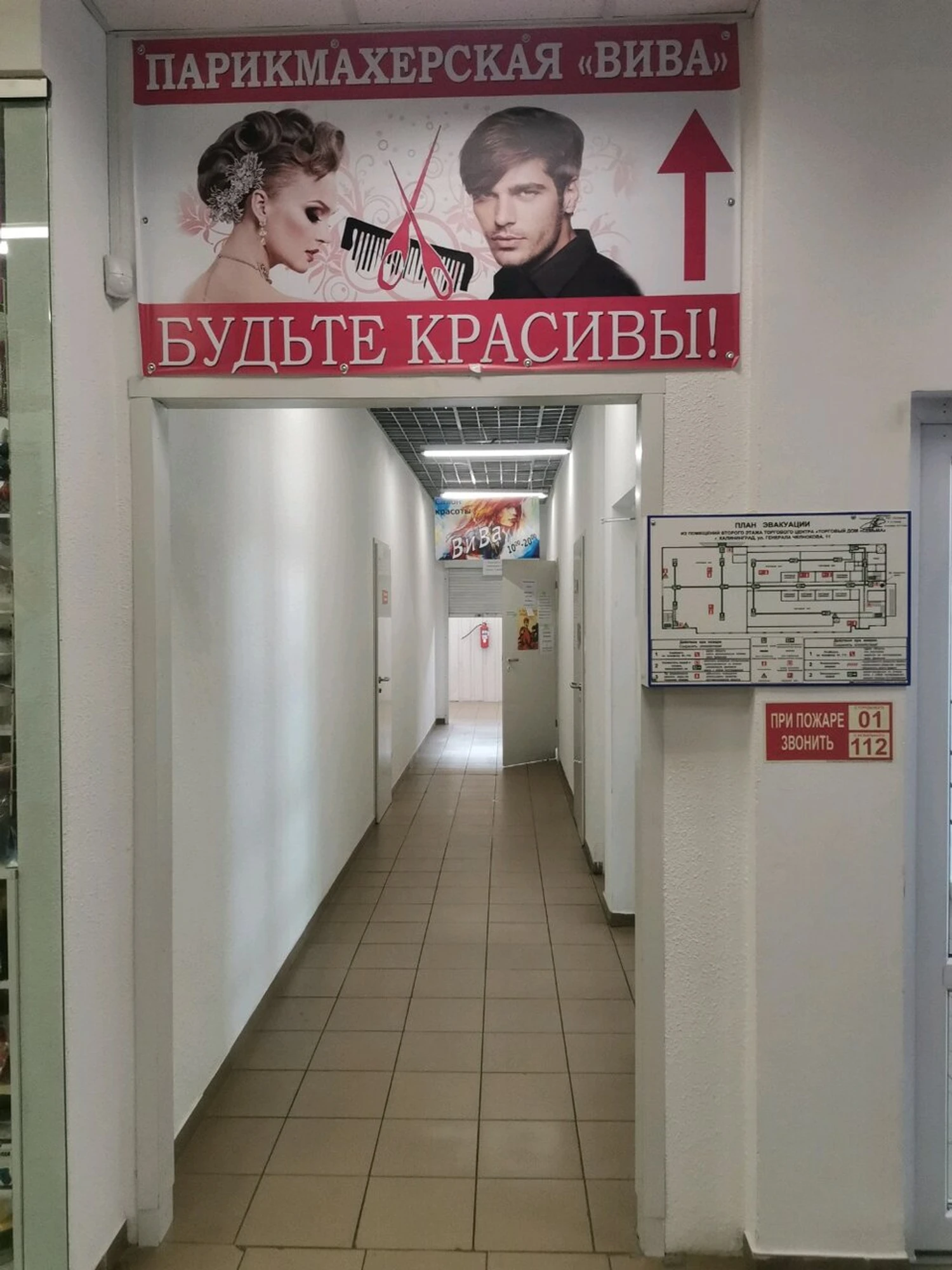 ВИВА (Парикмахерская )