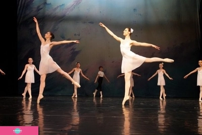 "Первая школа мюзикла" (школа танцев)