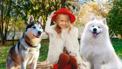 Бесплатно детям в этнопарк «Хаски Лэнд» в парке «Сказка»