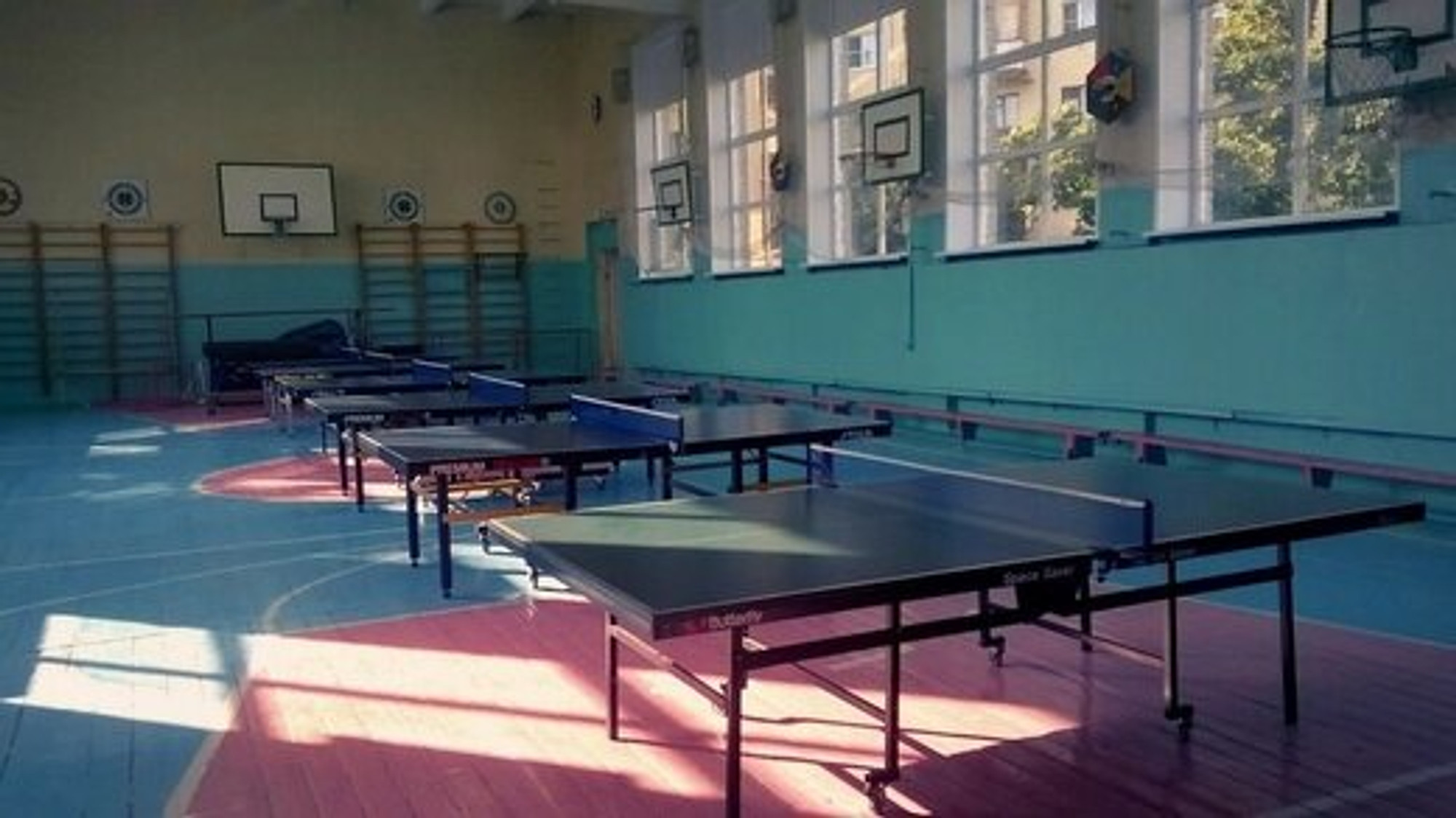 Школа настольного тенниса Yastreb School (Спортивный клуб, секция )