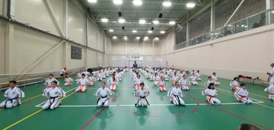 Спортивный клуб каратэ Лидер (Спортивная школа)