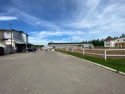 Конно-спортивный клуб Ромашково (Конный клуб )