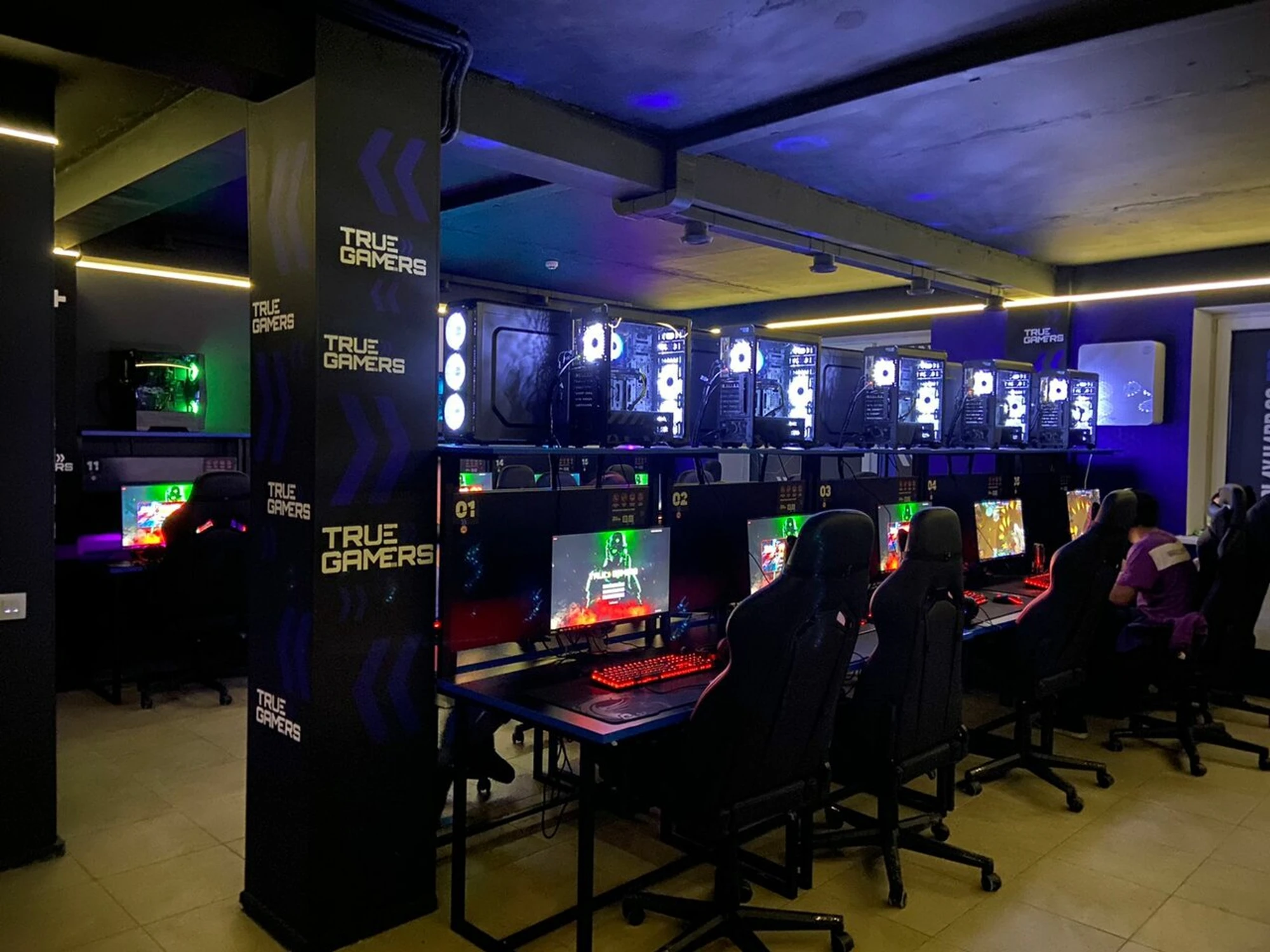 "True Gamers", киберспорт