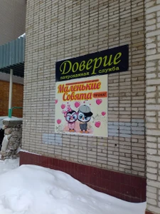 Доверие (Патронажная служба)