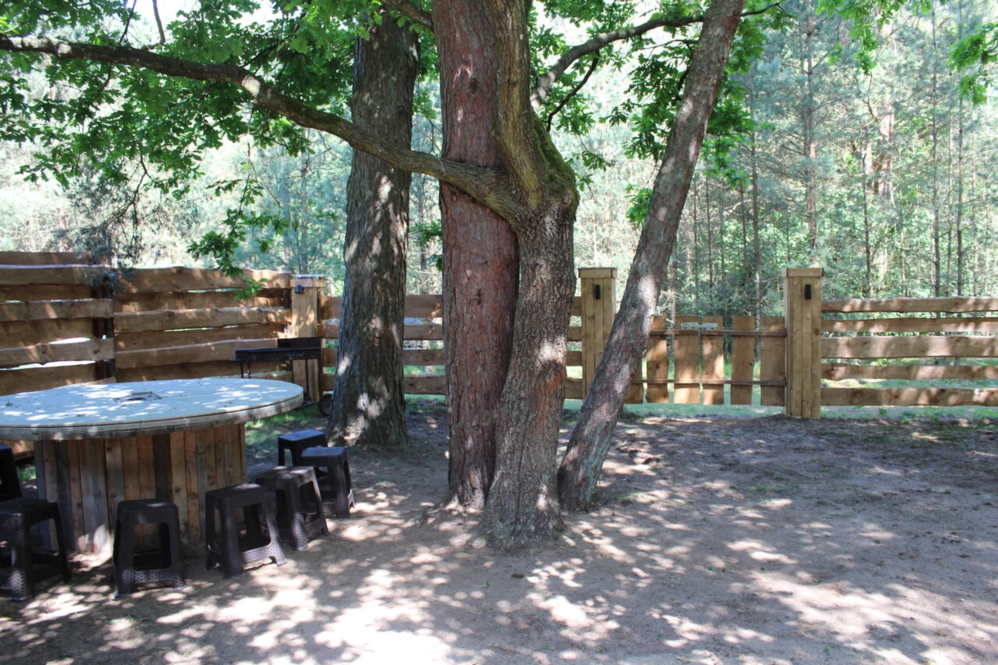 Лесная сказка (Баня)