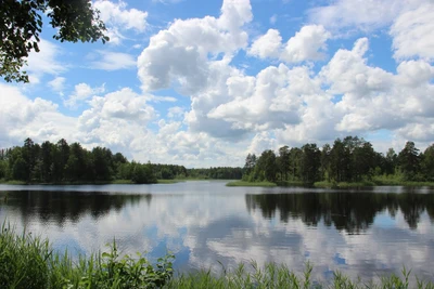 Туристический комплекс Озеро Свято (Дом отдыха )
