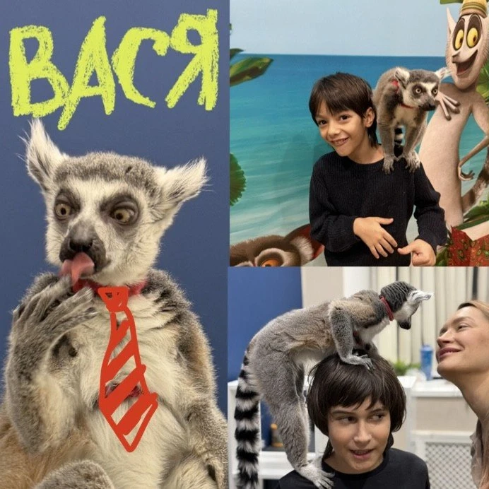 Многодетным семьям скидки! ❤️