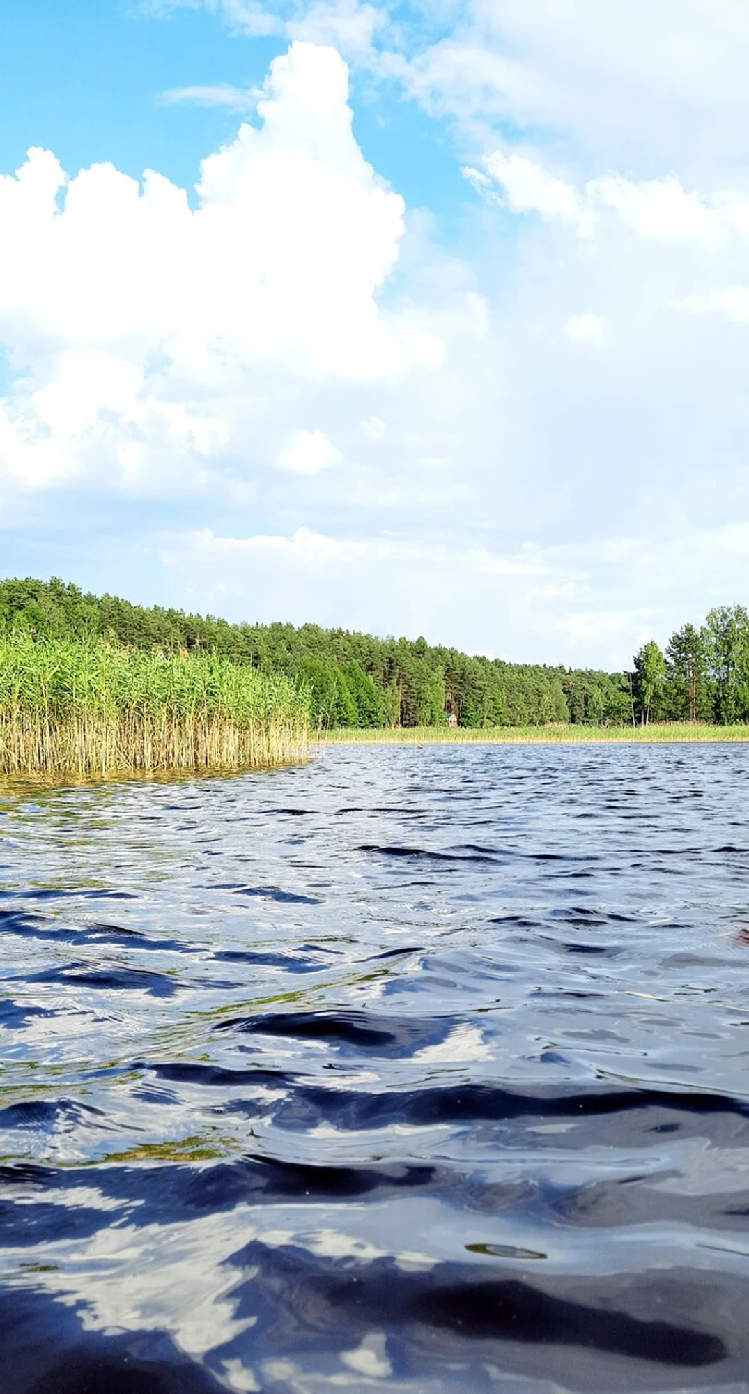Пляж (Пляж)
