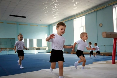 Федерация гимнастики (Спортивный клуб, секция )