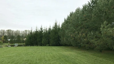 Апрель (Городское благоустройство )
