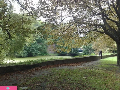 "Южный", природный ландшафтный парк в Калининграде