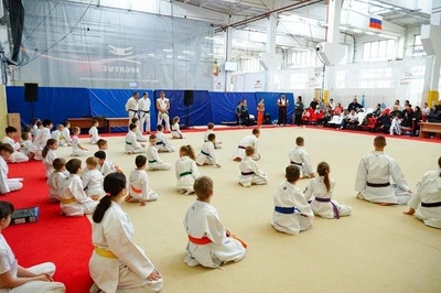 Спортивная школа "Бросок кобры"