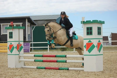 Белый конь (Конный клуб)