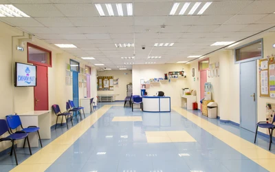 Детская студия творческого и интеллектуального развития Синий Кот (Дополнительное образование )