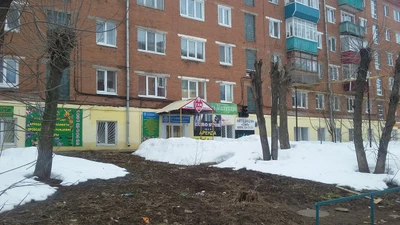 Гениальный малыш (Центр развития ребёнка)