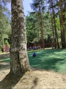 Сол Ждановец (Санаторий )