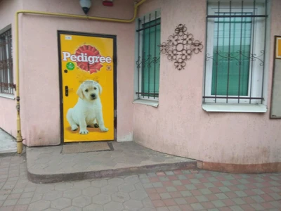 Областная станция по борьбе с болезнями животных (Ветеринарная клиника )