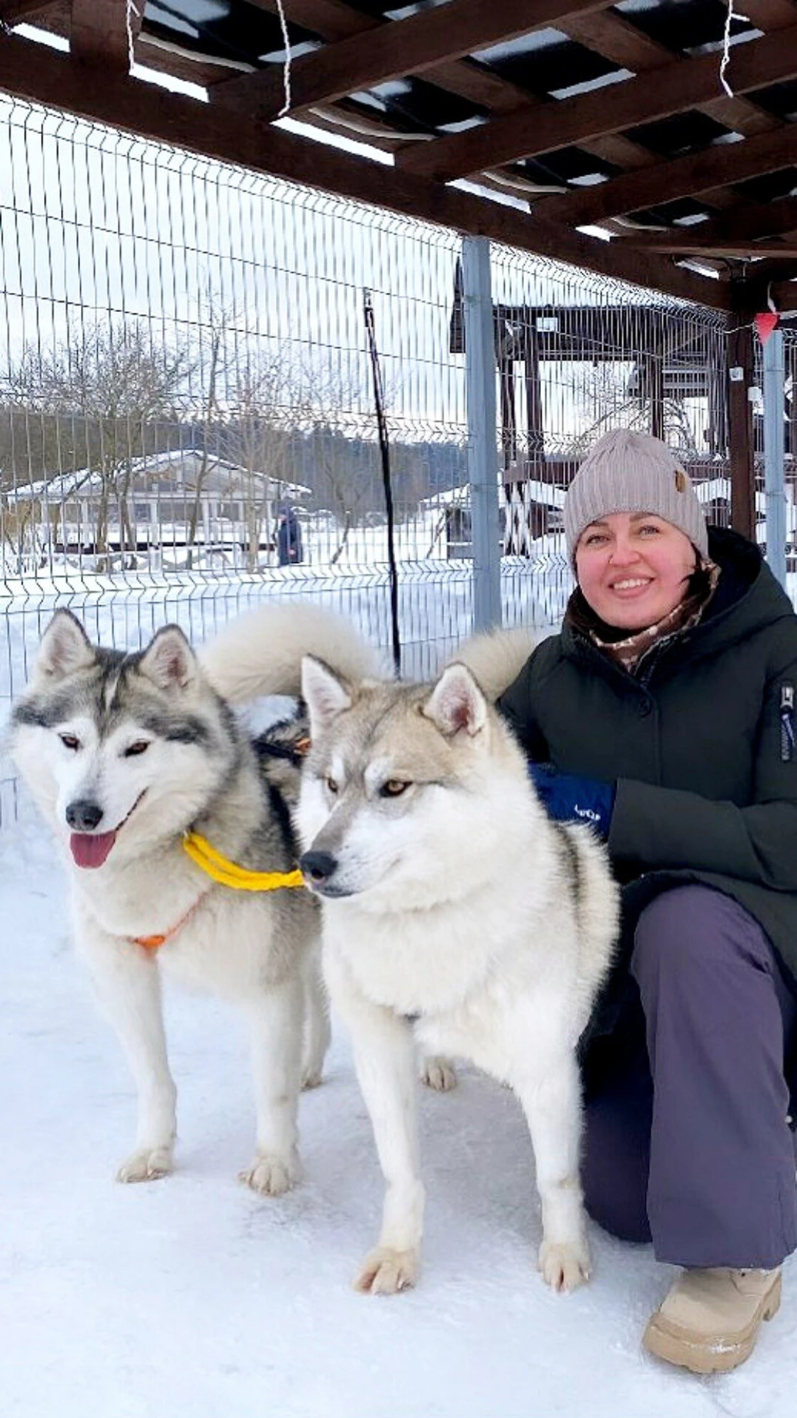 Сертификат на посещение парка "Хаски Лэнд" в Назарьево