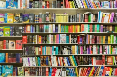 Учебники из Европы