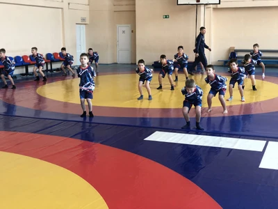 СпортАкадемия (Спортивный клуб, секция )